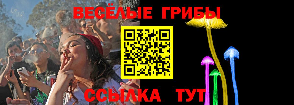 Галлюциногенные грибы прущие грибы Электросталь